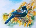 watercolour painting by Sue Graham